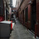Photograph of St. Louis Alley.