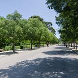 Photograph of El Retiro Park.