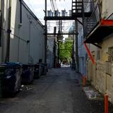 Photograph of Alley (south of Homer, west of Hastings).