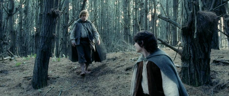 Frodo and Sam talk about their story while following Gollum to Mordor.