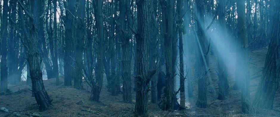 Arwen wanders heartbroken though the woods.