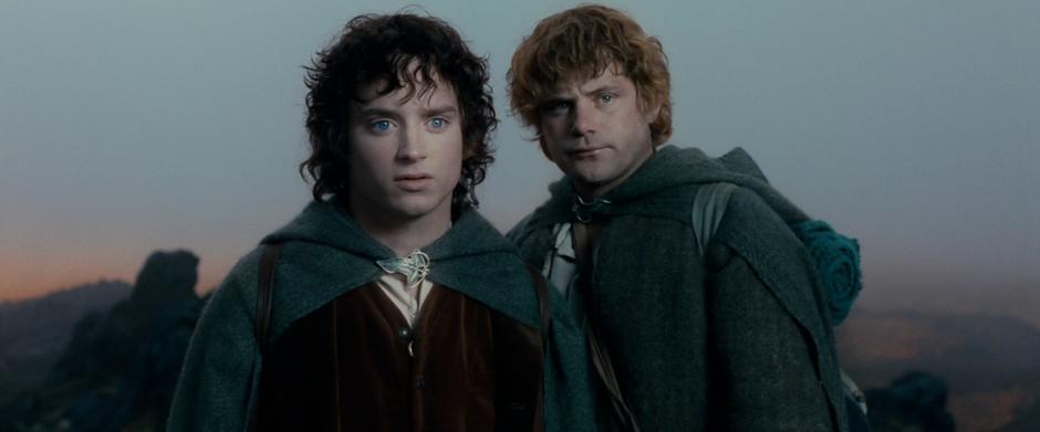 Sam & Frodo look towards their destination shortly after parting with the Fellowship.