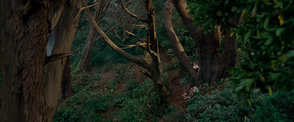 Sam cooks dinner while Frodo lounges in a tree during the Hobbits' journey to Bree.