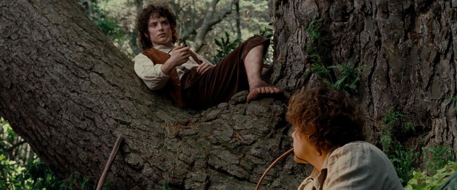 While Sam & Frodo are lounging in their camp, Frodo hears some elves singing in the distance.