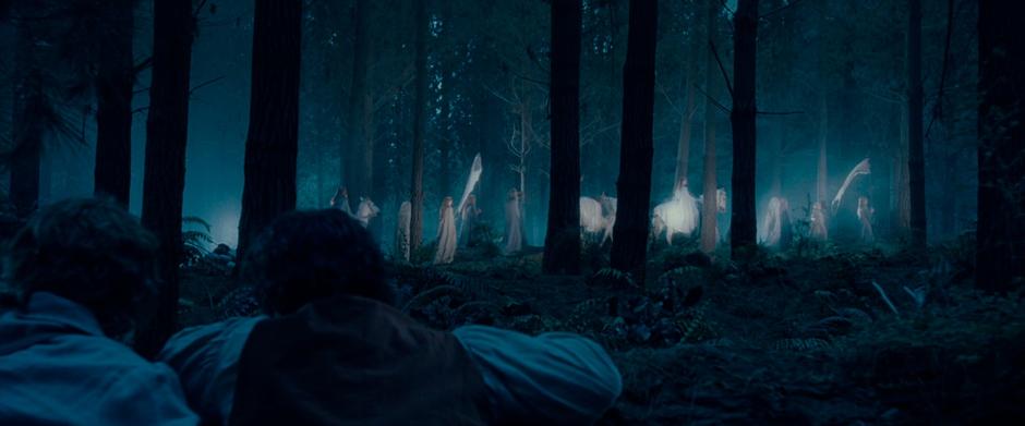 Sam & Frodo watch a party of elves move through the woods on their way to the Grey Havens.