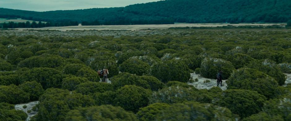 Aragorn leads the Hobbits through a shrub-filled field on their way to Rivendell.