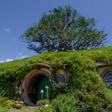 The front entrance to Bag End with its tree in the background.