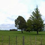 Wide angle panorama of the paddock taken from the street.