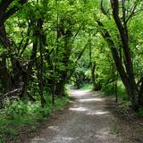 Photograph of Arrowtown Recreational Reserve.