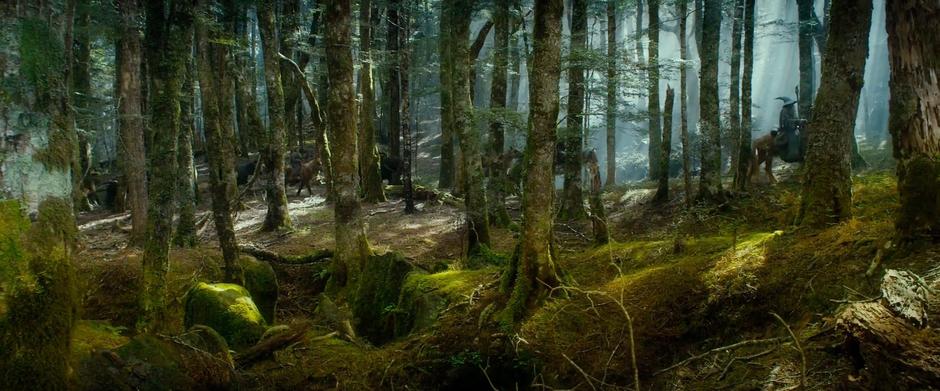 Thorin's party rides through the woods after being joined by Bilbo.