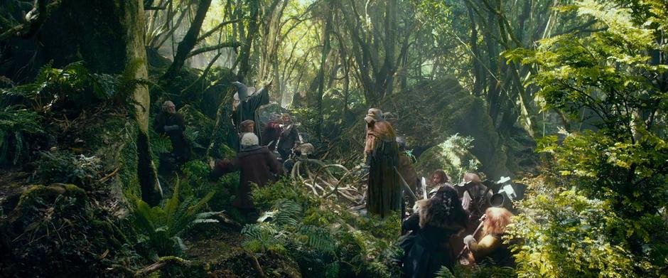 The dwarves relax after Radagast's unexpected arrival.