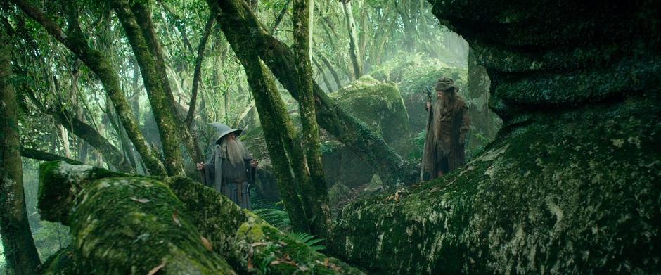 Radagast and Gandalf talk about the trouble in Green Wood.