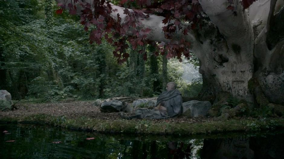 Maester Luwin sits dying by the Weirwood tree.