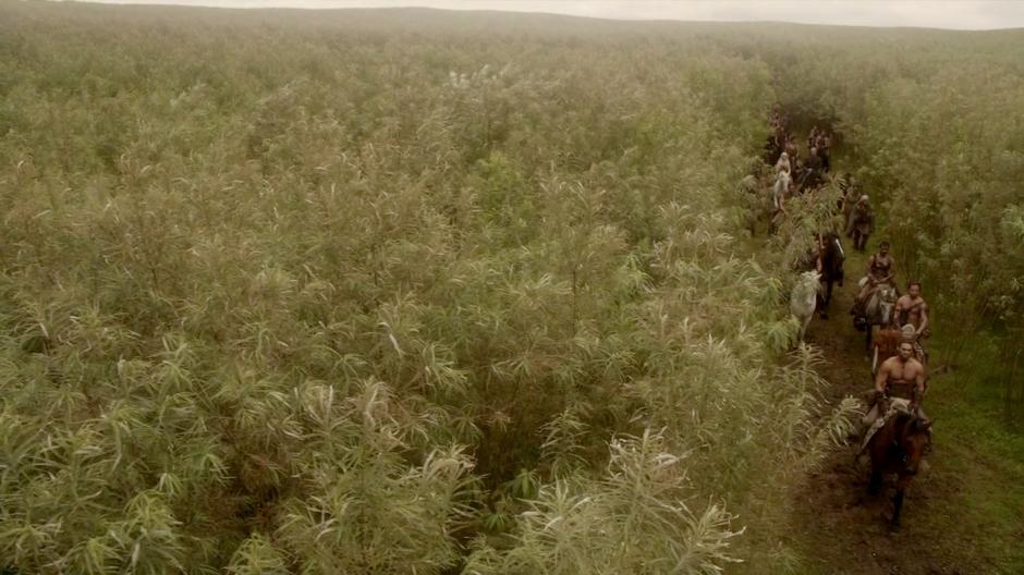 The Dothraki ride through a path between the tall grass.