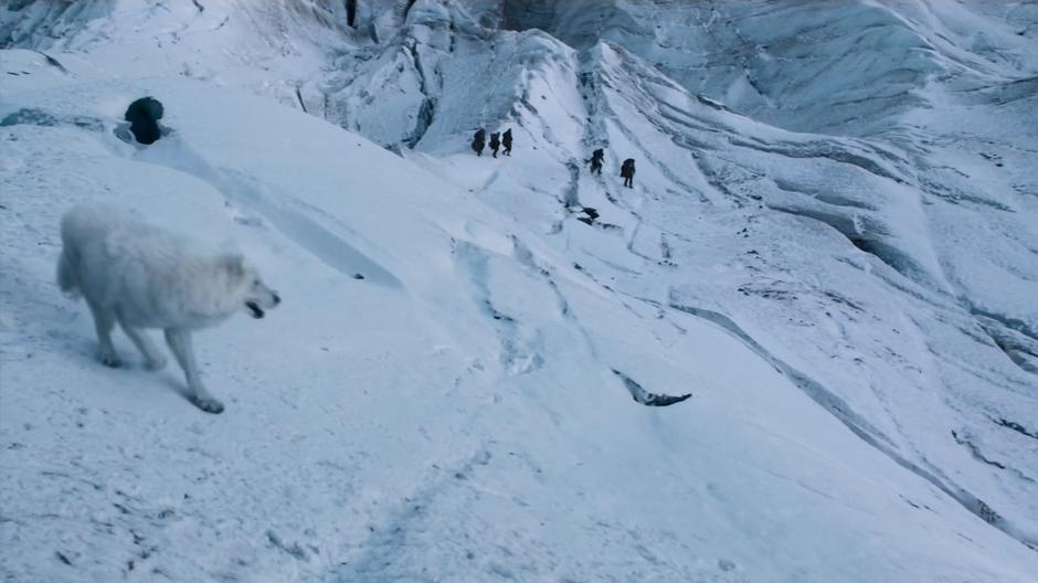 Snow stalks across a hill face while the rangers hike below.