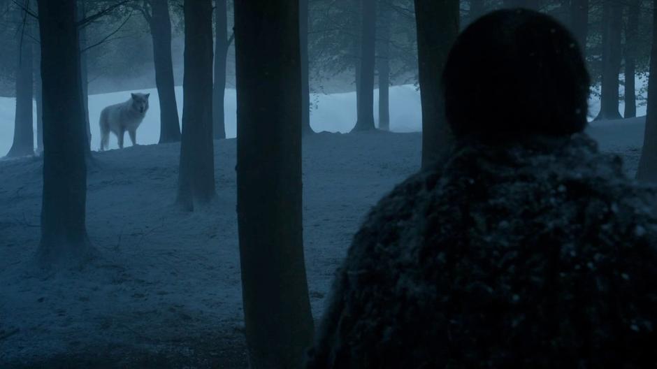Sam sees Jon Snow's direwolf Ghost in the distance through the trees.