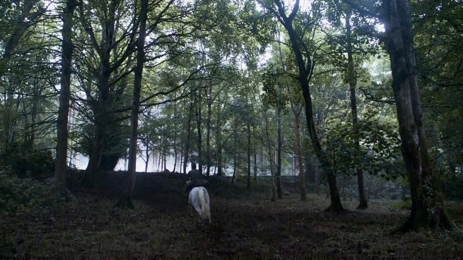 Theon rides through the woods on his stolen horse.