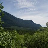 Photograph of Mid-Valley Viewpoint.