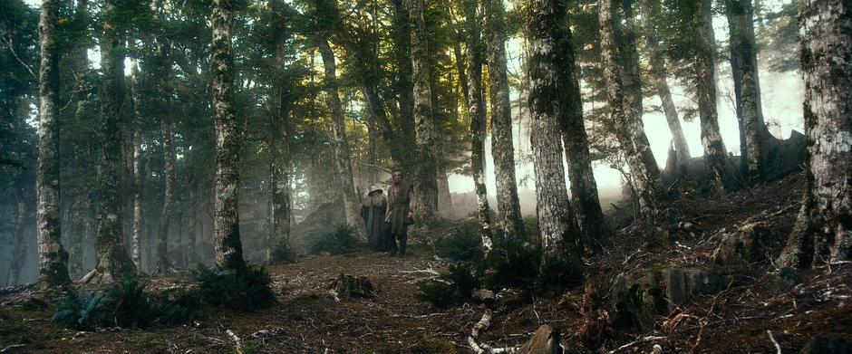 Gandalf talks with Beorn about the orc threat.