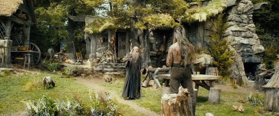 Gandalf tries to explain his presence to Beorn.