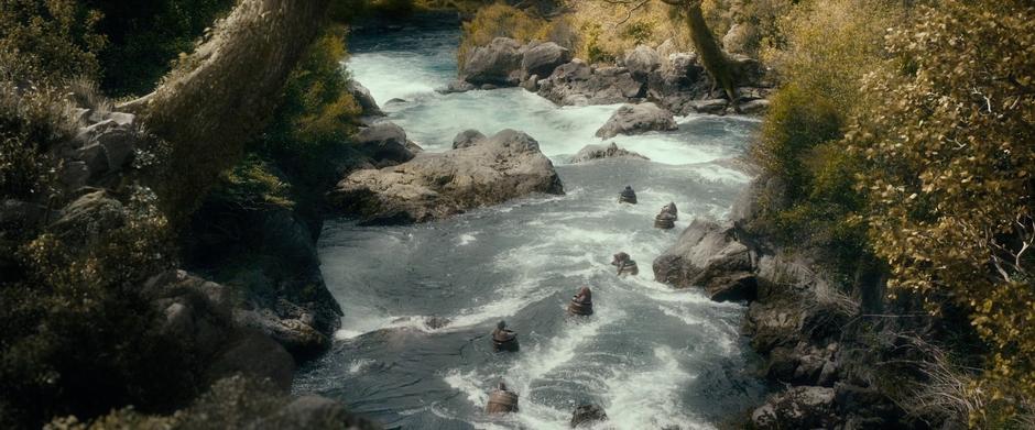 The dwarves are swept down the river.