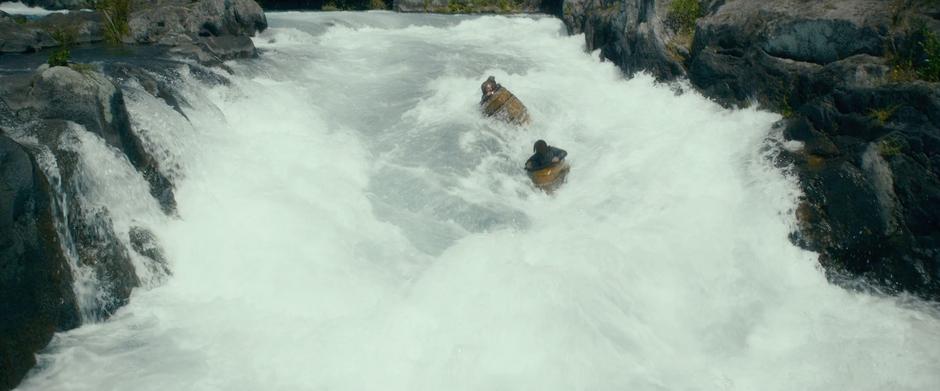 Two of the dwarves are swept down some rapids in the river.