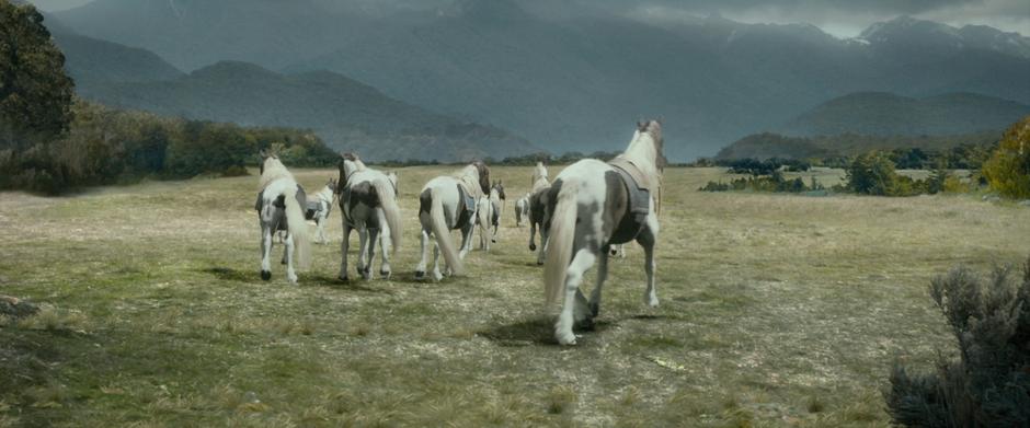 Beorn's horses run back to their home after being released by the dwarves.