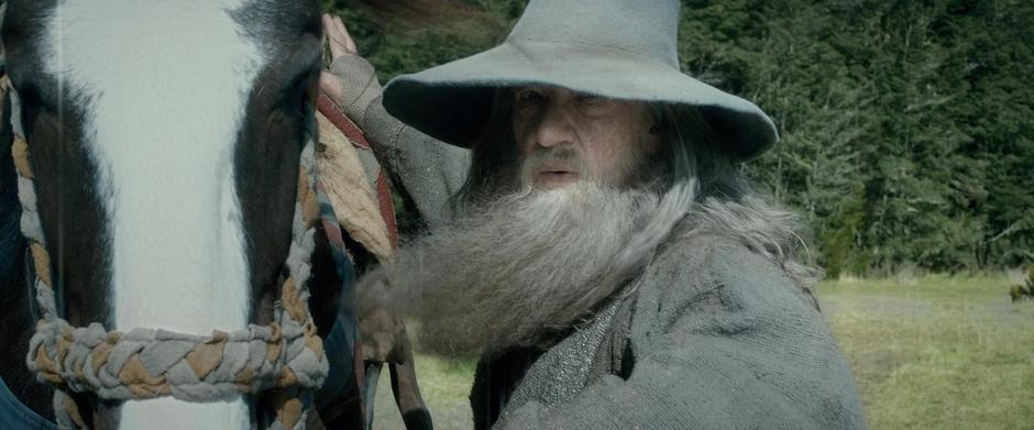 Gandalf gives the company advice about crossing through Mirkwood.