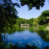 Photograph of Bow Bridge.