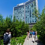 Photograph of The High Line.