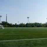 Photograph of Cherry Beach Sports Fields.