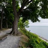 Photograph of Queen's Royal Park.