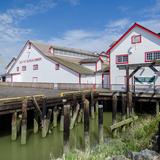 Photograph of Gulf of Georgia Cannery.