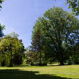 Photograph of West Lawn.