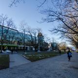 Photograph of Main Mall (between Agricultural & University).