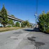 Photograph of Beresford Street (between Kenneth & Daisy).