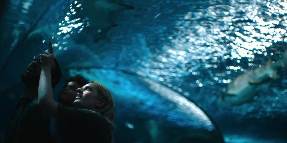 Luke, Hannah, and Offred look up at the fish swimming overhead in the aquarium tunnel.