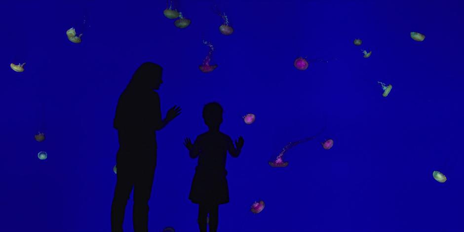 Offred looks down at her daughter as she looks at the jellyfish.
