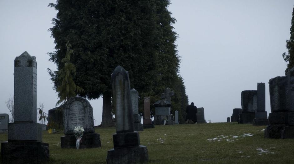 Joe kneels down in front of Iris's grave in the distance.