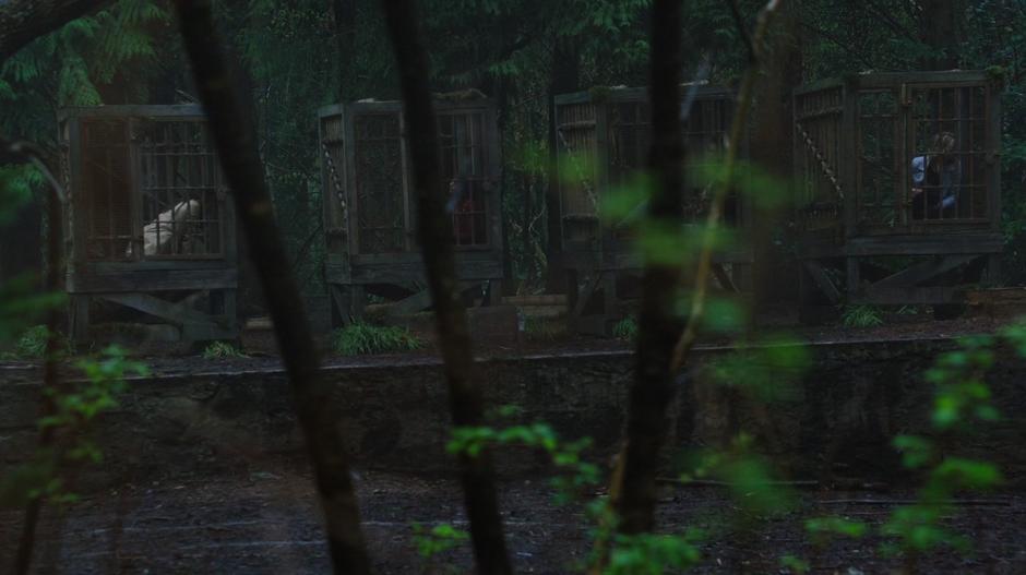 Four of Oliver's friends are locked in cages in the middle of a clearing.