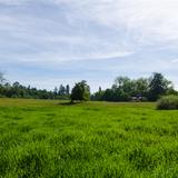 Photograph of Blieberger Farm.