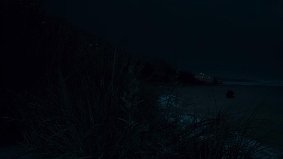 Sarah stumbles down the beach at night.