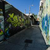 Photograph of Alley (south of Nassau, west of Augusta).