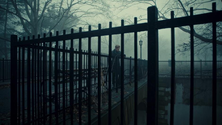 Jace stands on the bridge looking down at the entrance to the Seelie Realm.