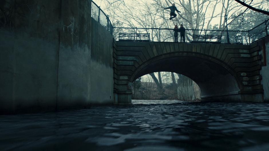 Clary and Simon watch as Jace leaps over the railing and down into the stream.