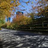 Photograph of Hornby Street (between Smithe & Robson).