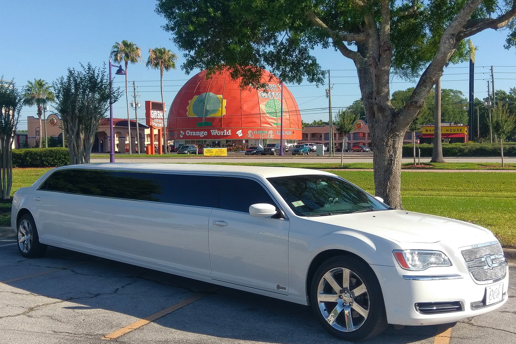 10 Passenger Stretch Limo Service Sanford Airport to Disney