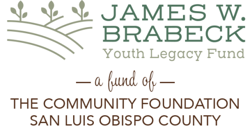James W. Brabeck Youth Legacy Fund
