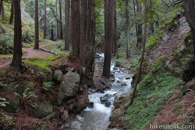 hiking in big sur