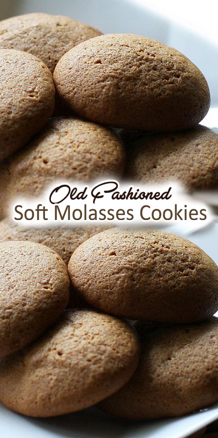 Old Fashioned Soft Molasses Cookies 5105